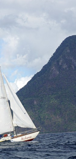 Andiamo Andiamo vor den Pitons (St. Lucia)