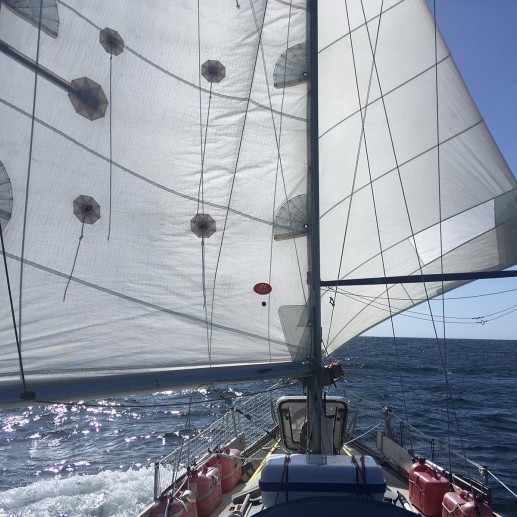 Andiamo Schmetterlingssegeln auf dem Atlantik